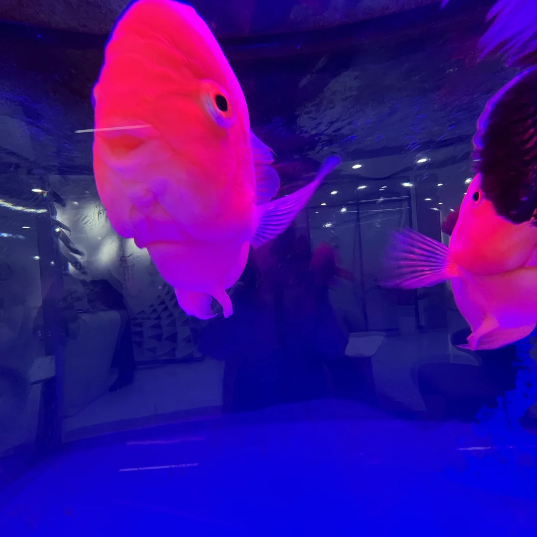 石家庄欢乐汇附近工作日常