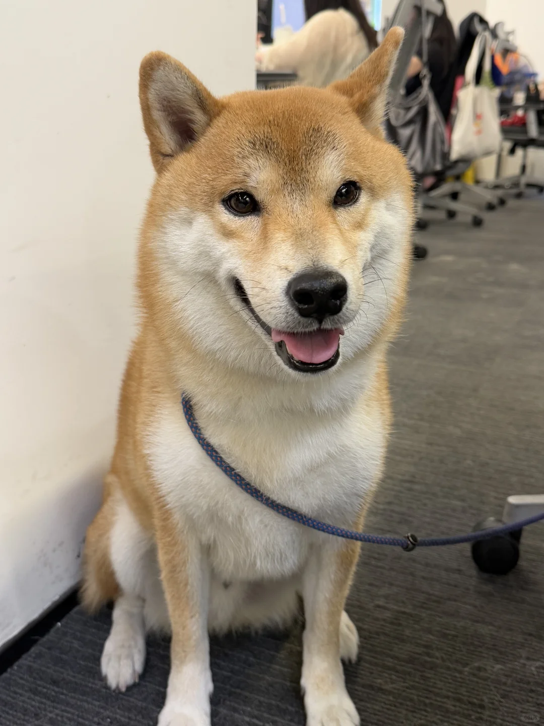 Klook客路｜💡神仙公司等你来