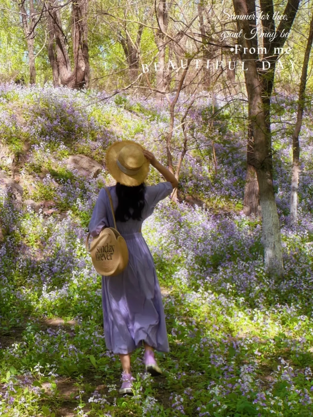 接下来的沈阳将会是这样！🌷（附花期&地址）