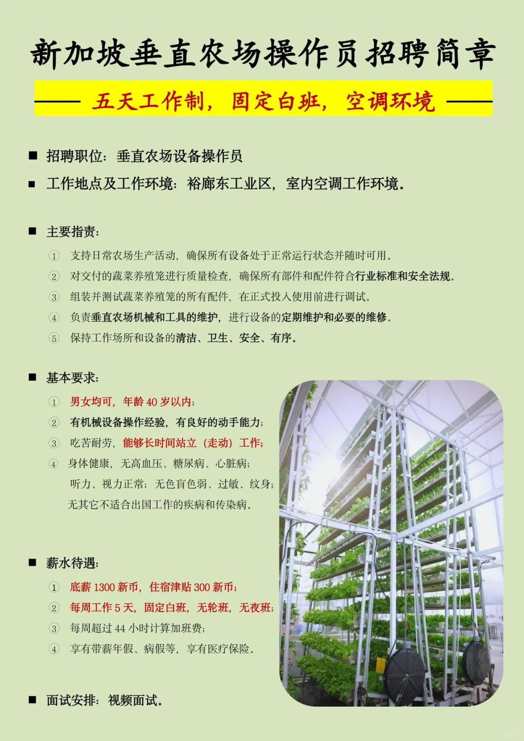 五天工作制，纯白班🎊🎊