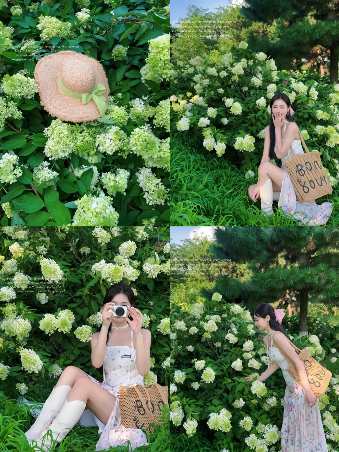 接下来的沈阳将会是这样！🌷（附花期&地址）