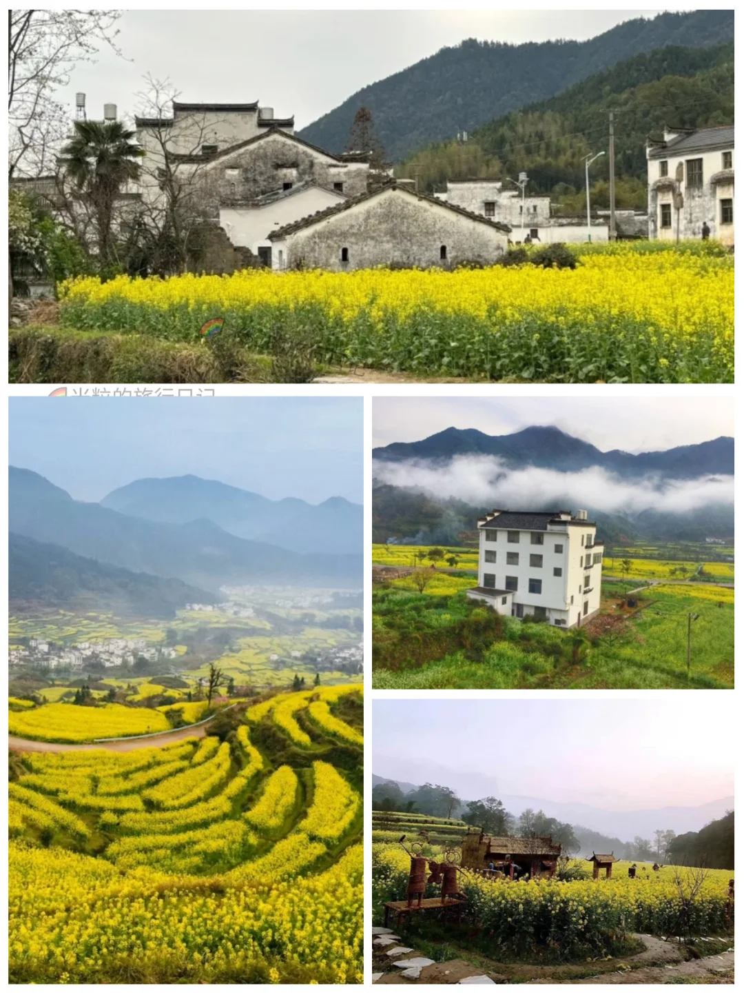 迄今为止，我最满意的婺源2天1晚游玩路线