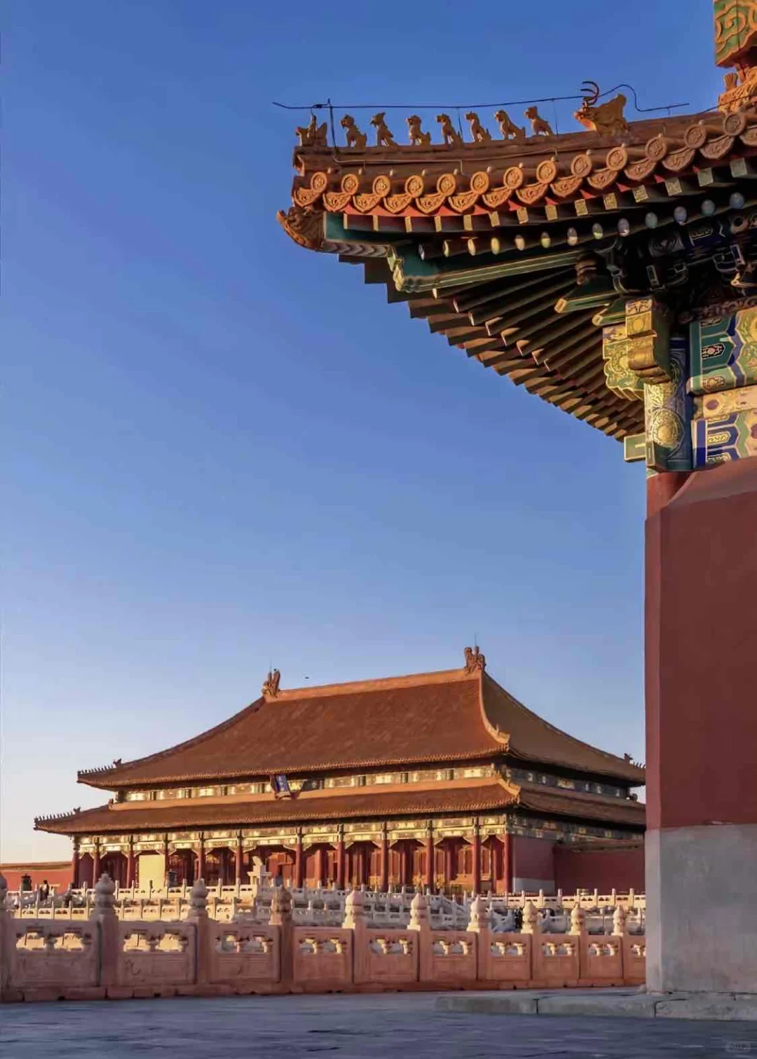 北京真的会惩罚每一个不提前预约的人