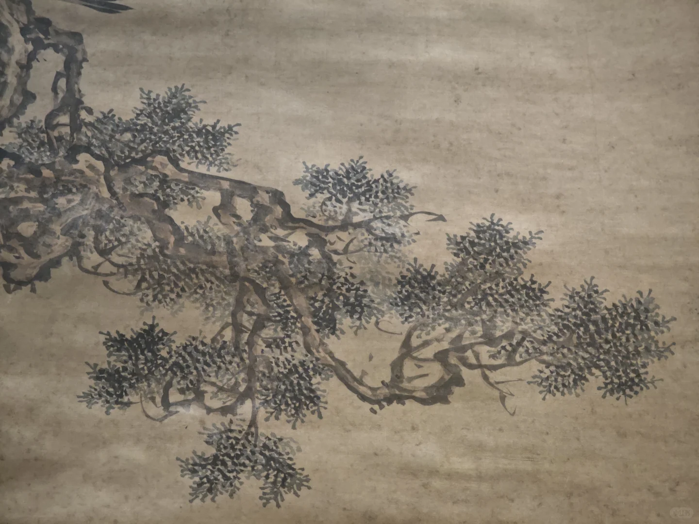 河北省博★京津冀花鸟画展