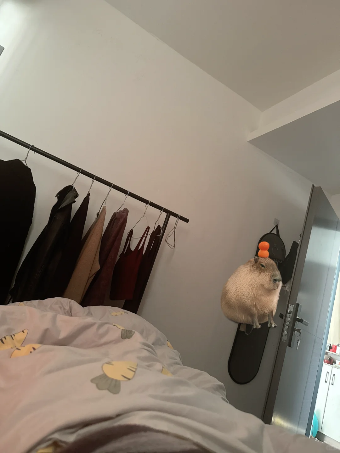 广州就我自己找不到工作吗🤕