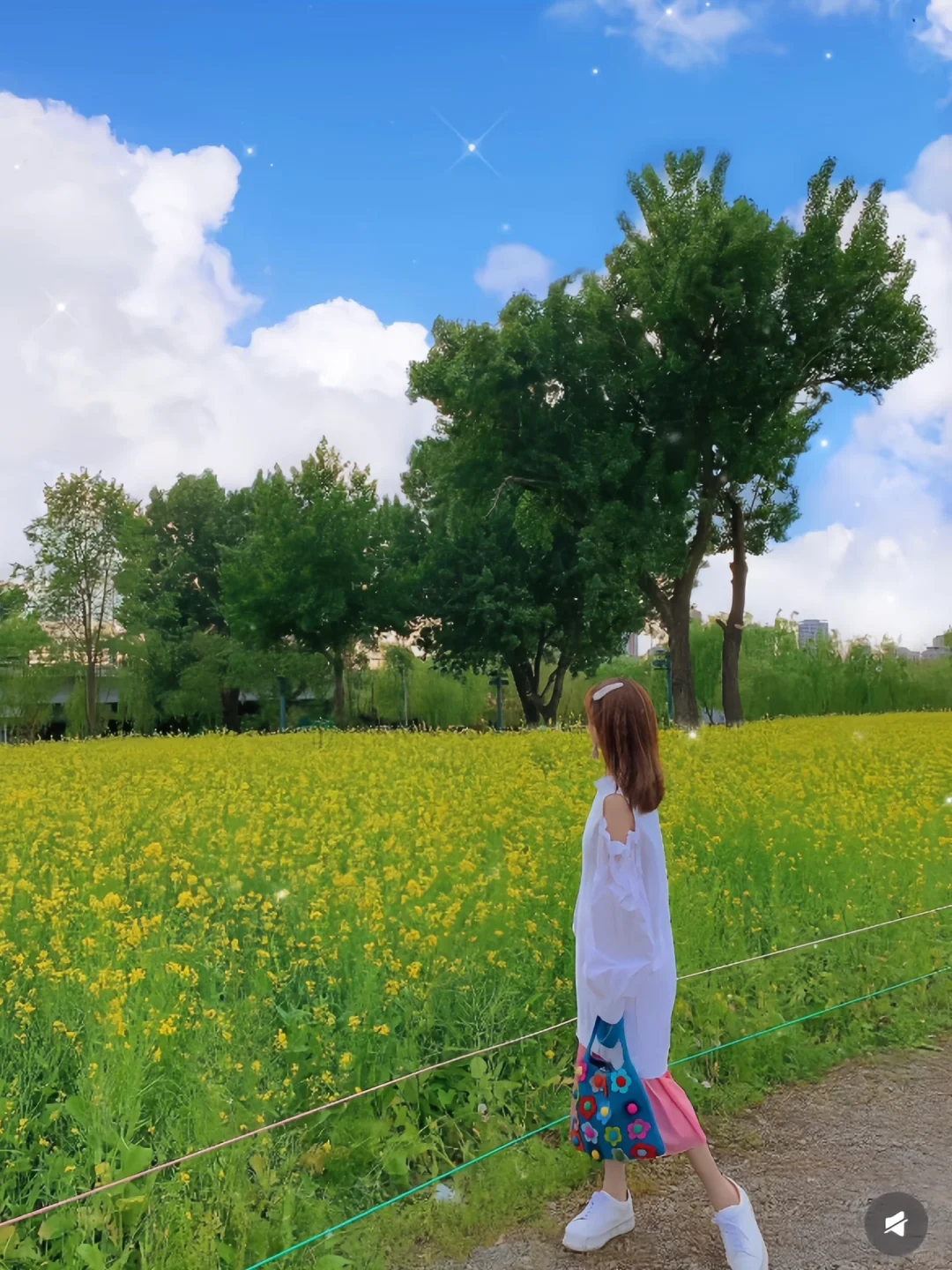 接下来的沈阳将会是这样！🌷（附花期&地址）