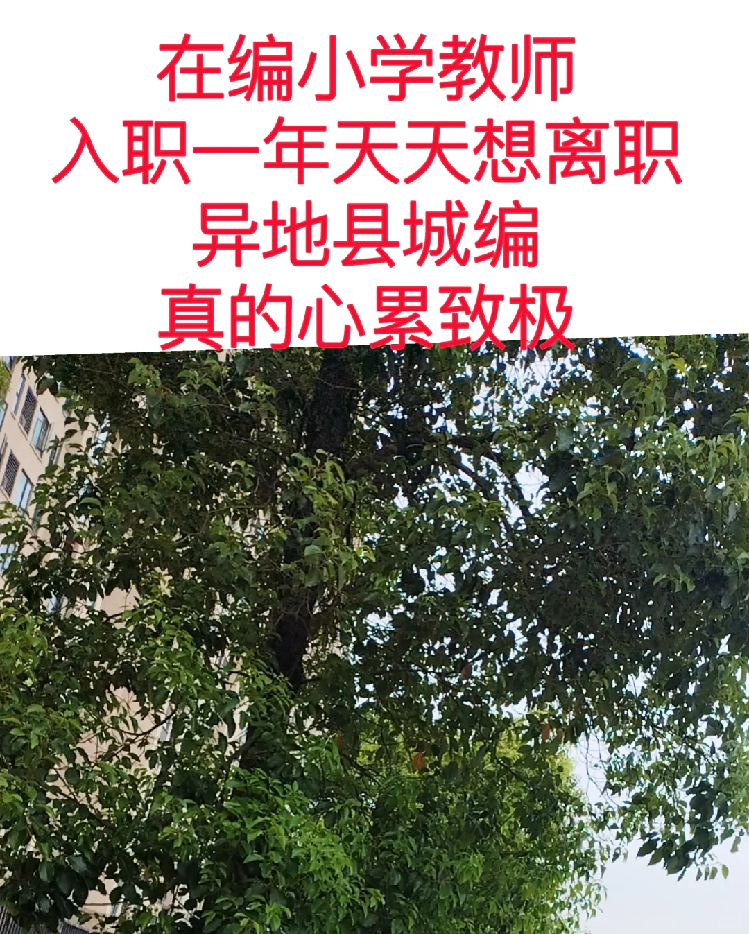 在编小学教师，天天想离职，小县城