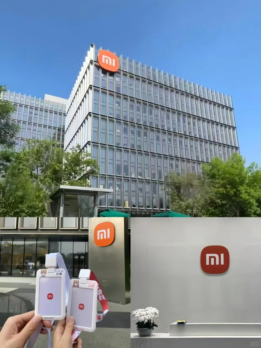 小米春招捞一批实习生，有愿意来的的嘛？