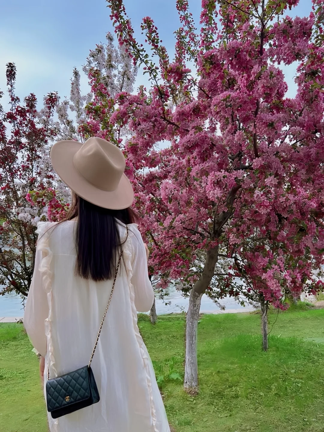 接下来的沈阳将会是这样！🌷（附花期&地址）