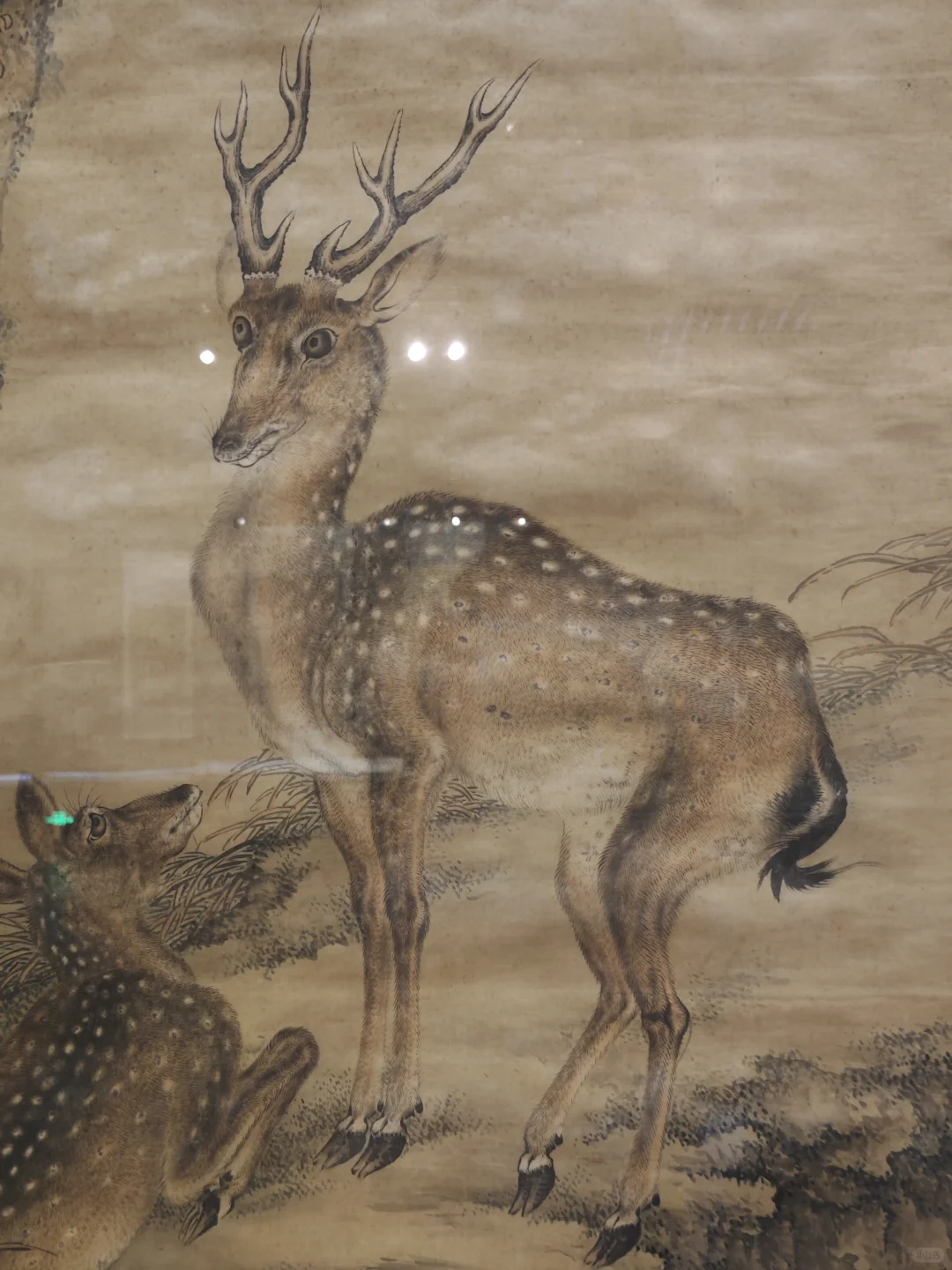 河北省博★京津冀花鸟画展