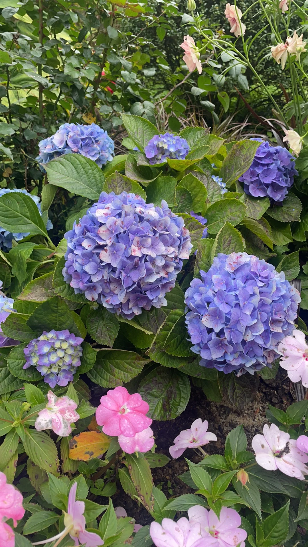 来公司8个月，发现招聘软件在招我的岗位