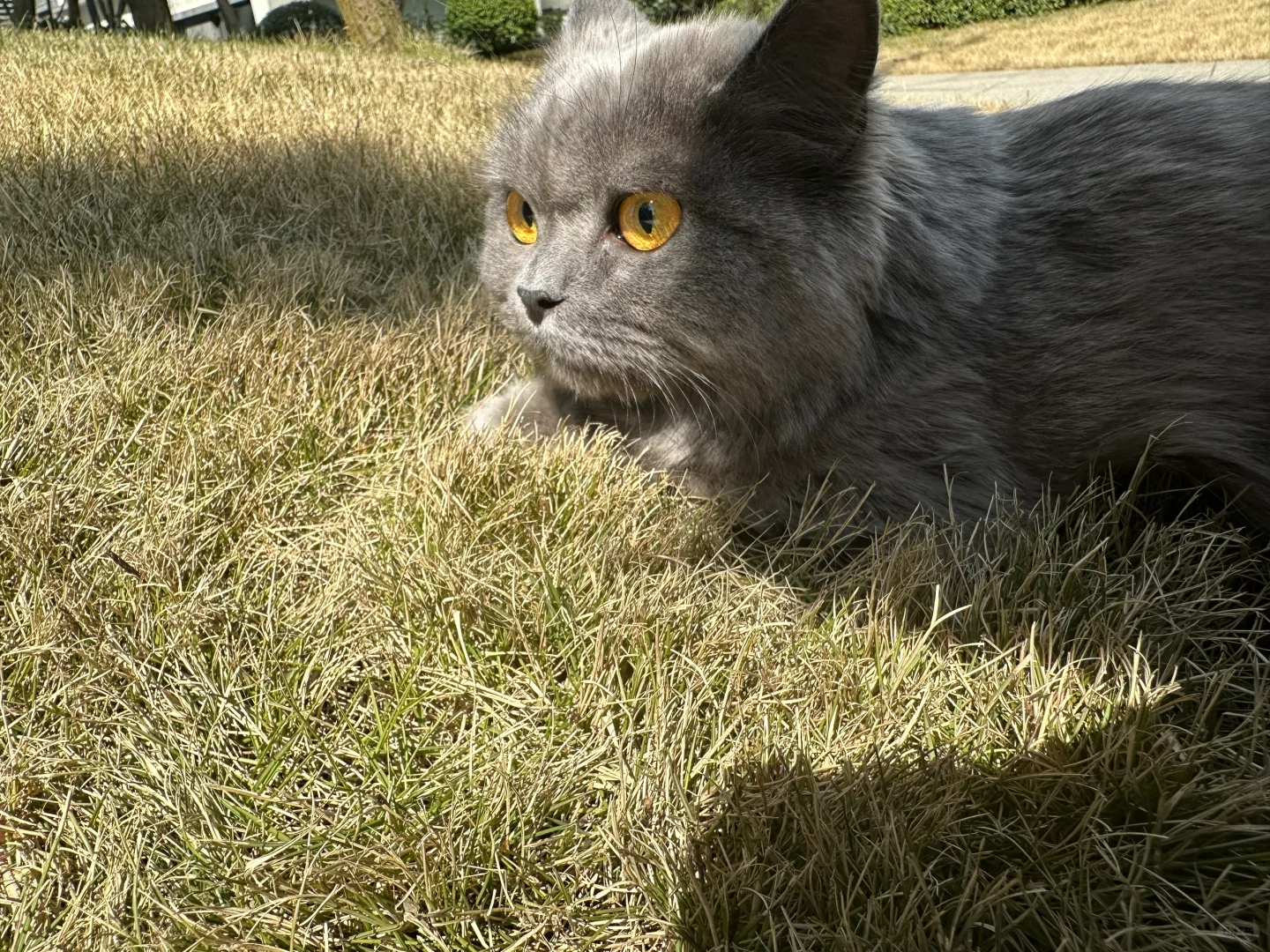 白云区，观山湖找工作的看过来～