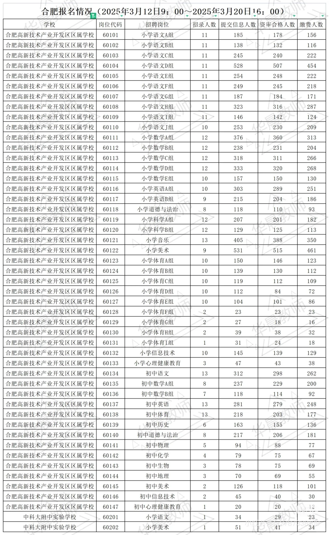 合肥教师招聘高新区小语D组。。。。。。