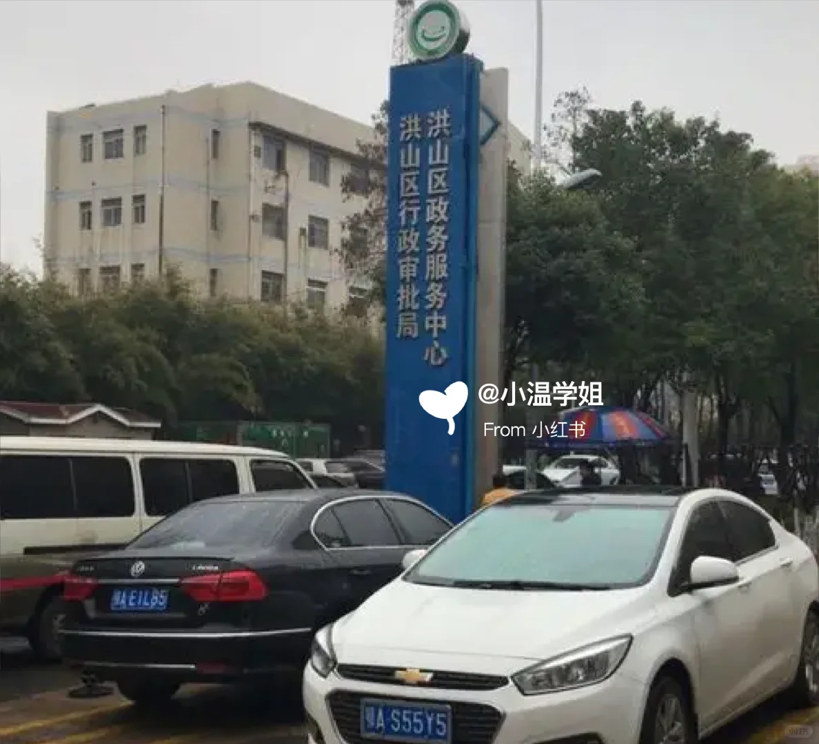 洪山区政务中心 大专可报