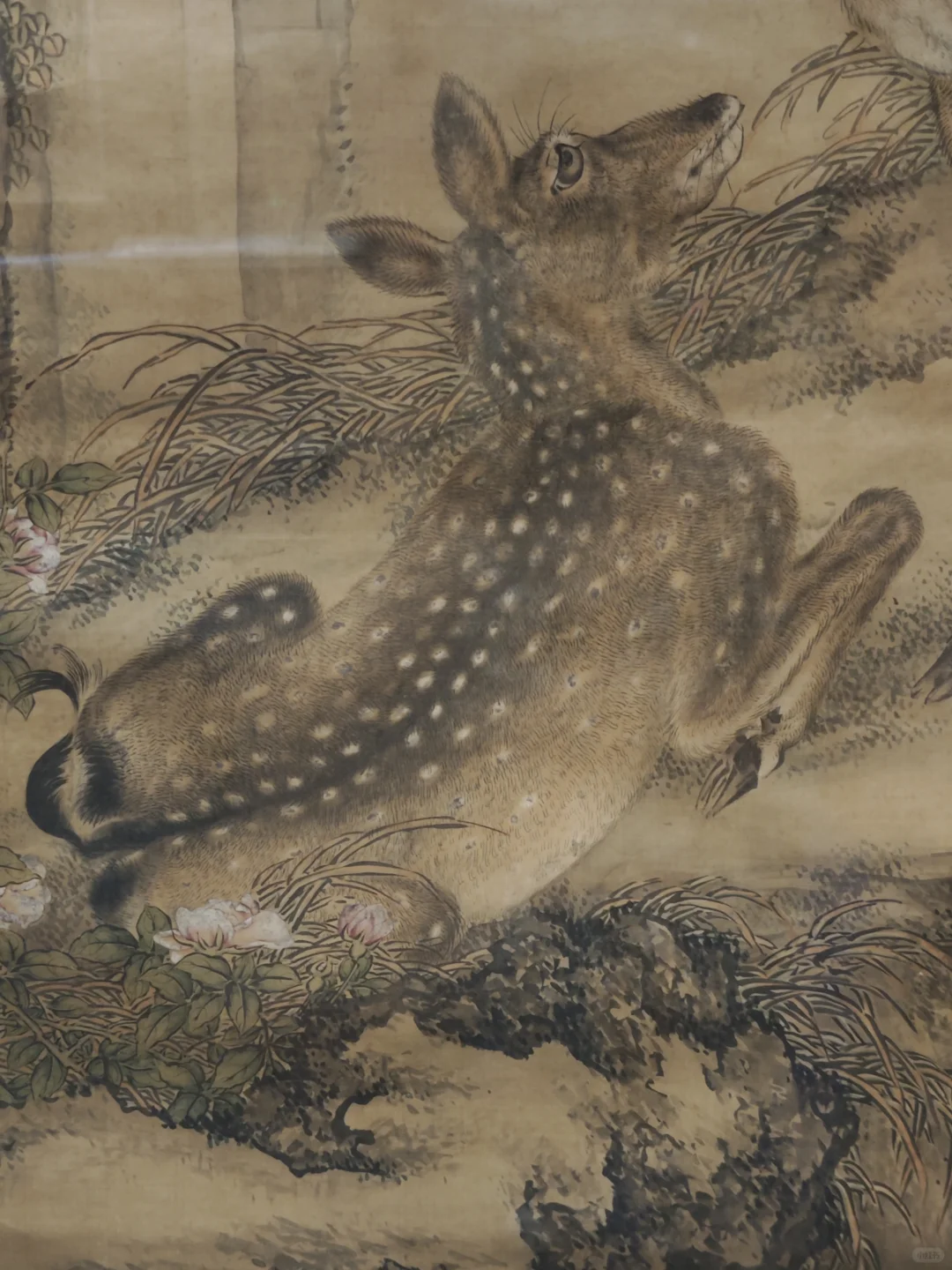 河北省博★京津冀花鸟画展