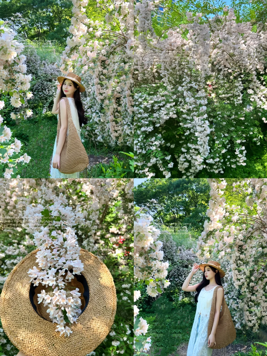接下来的沈阳将会是这样！🌷（附花期&地址）