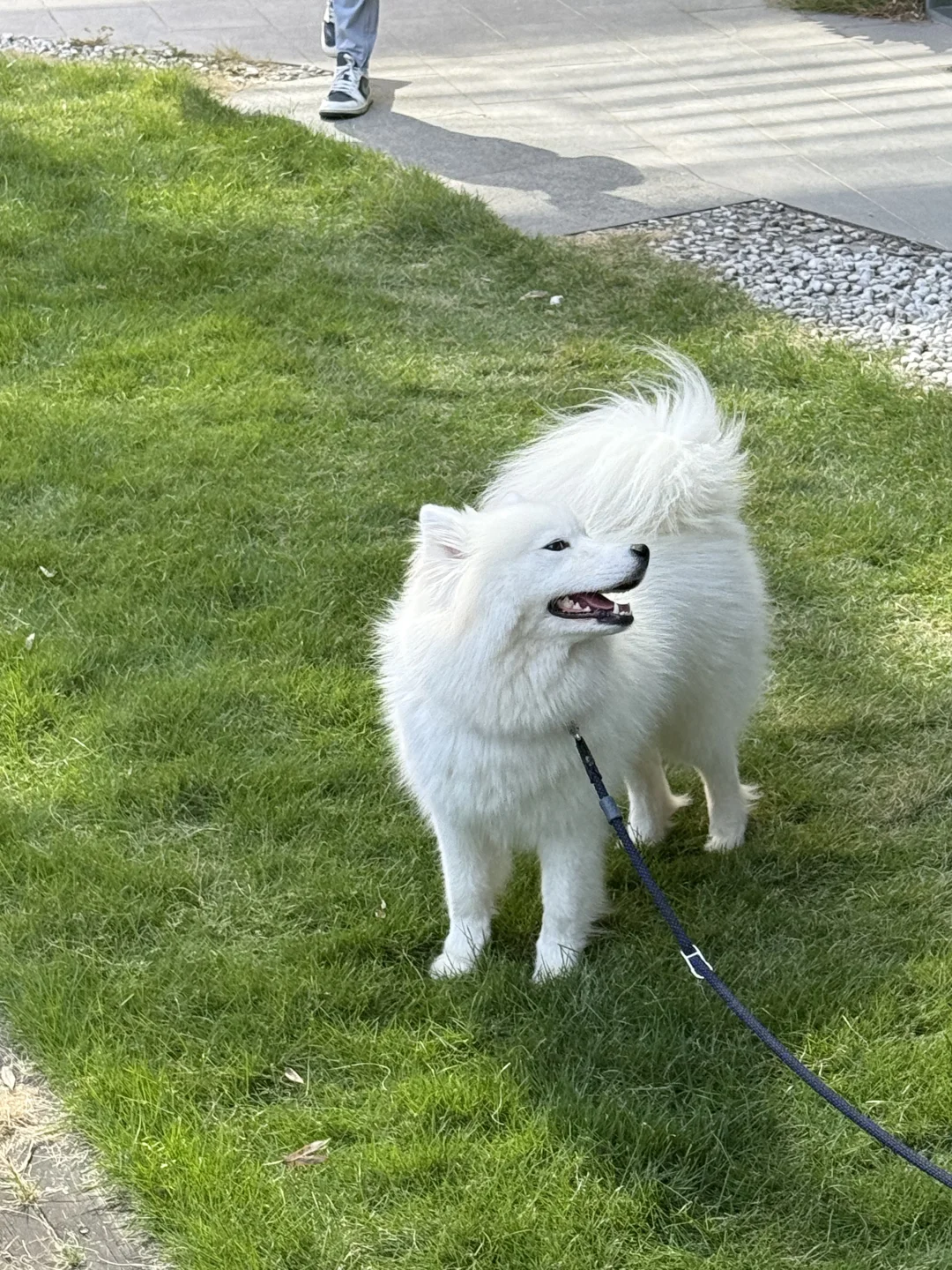 Klook客路｜💡神仙公司等你来