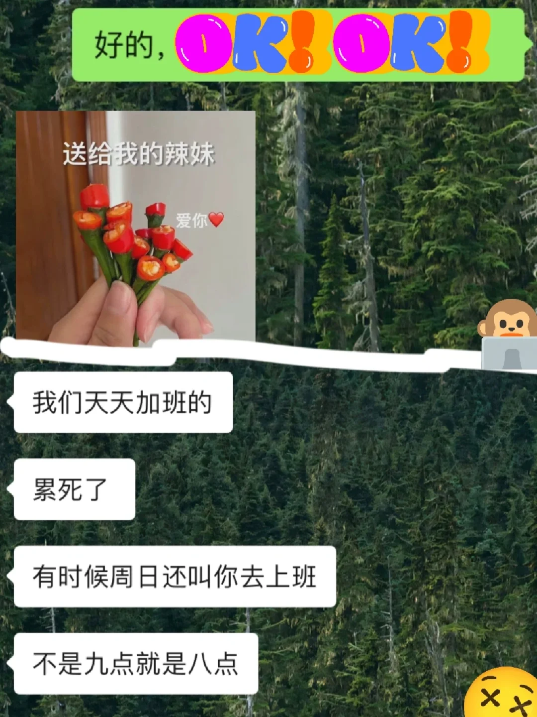 法*正法务助理到底是干什么的?来looklook~