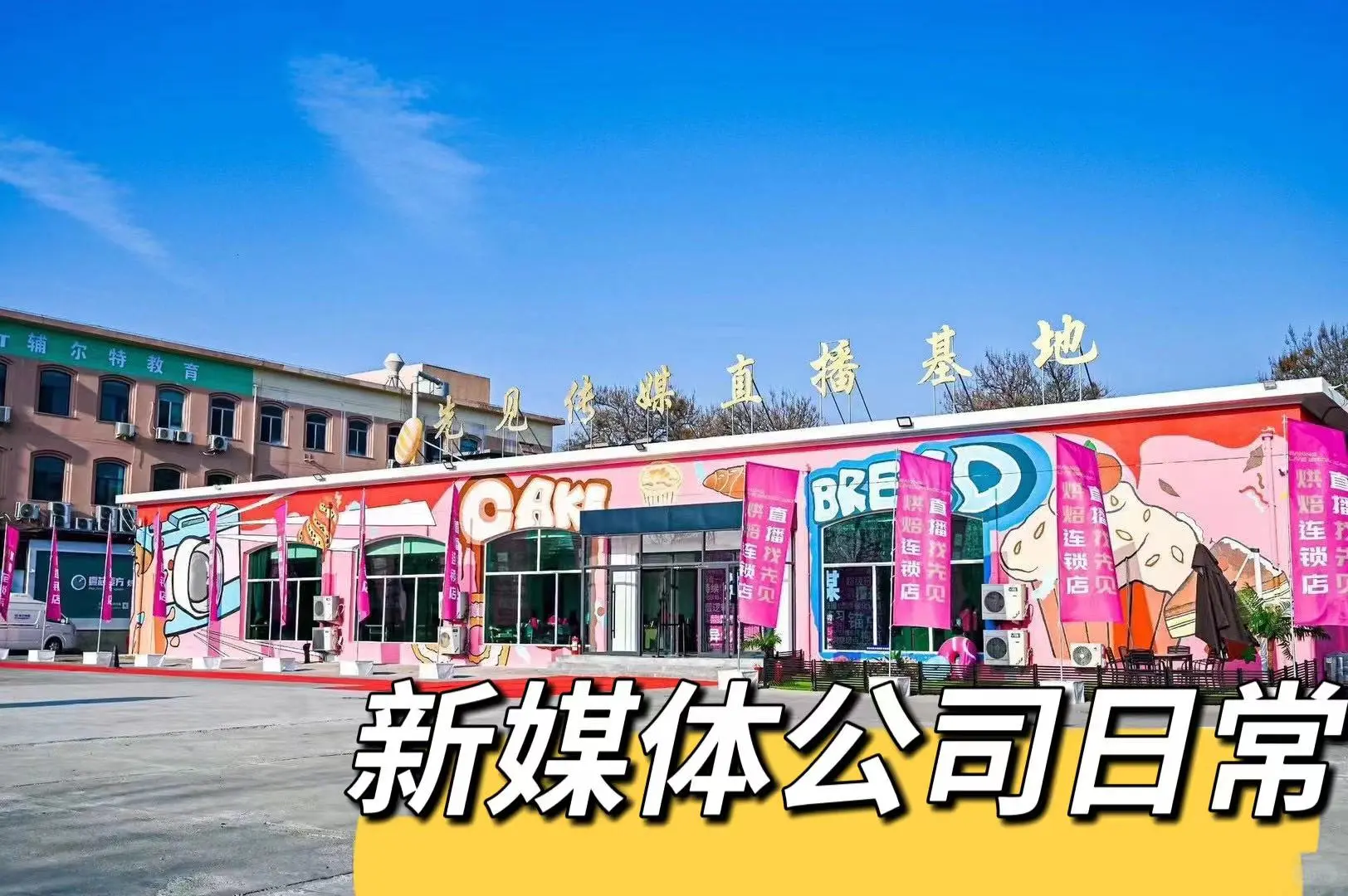 🔥年轻活力的宝藏公司招人啦！