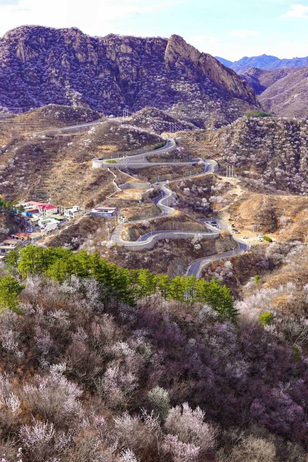 在北京🌸春天一定一定要去看一次花海长城🆓