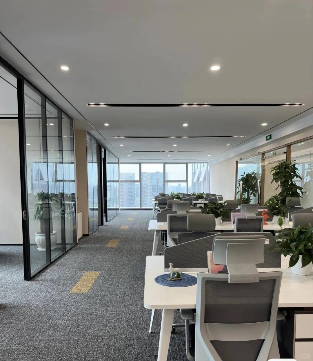 上市公司的岗位都不来吗