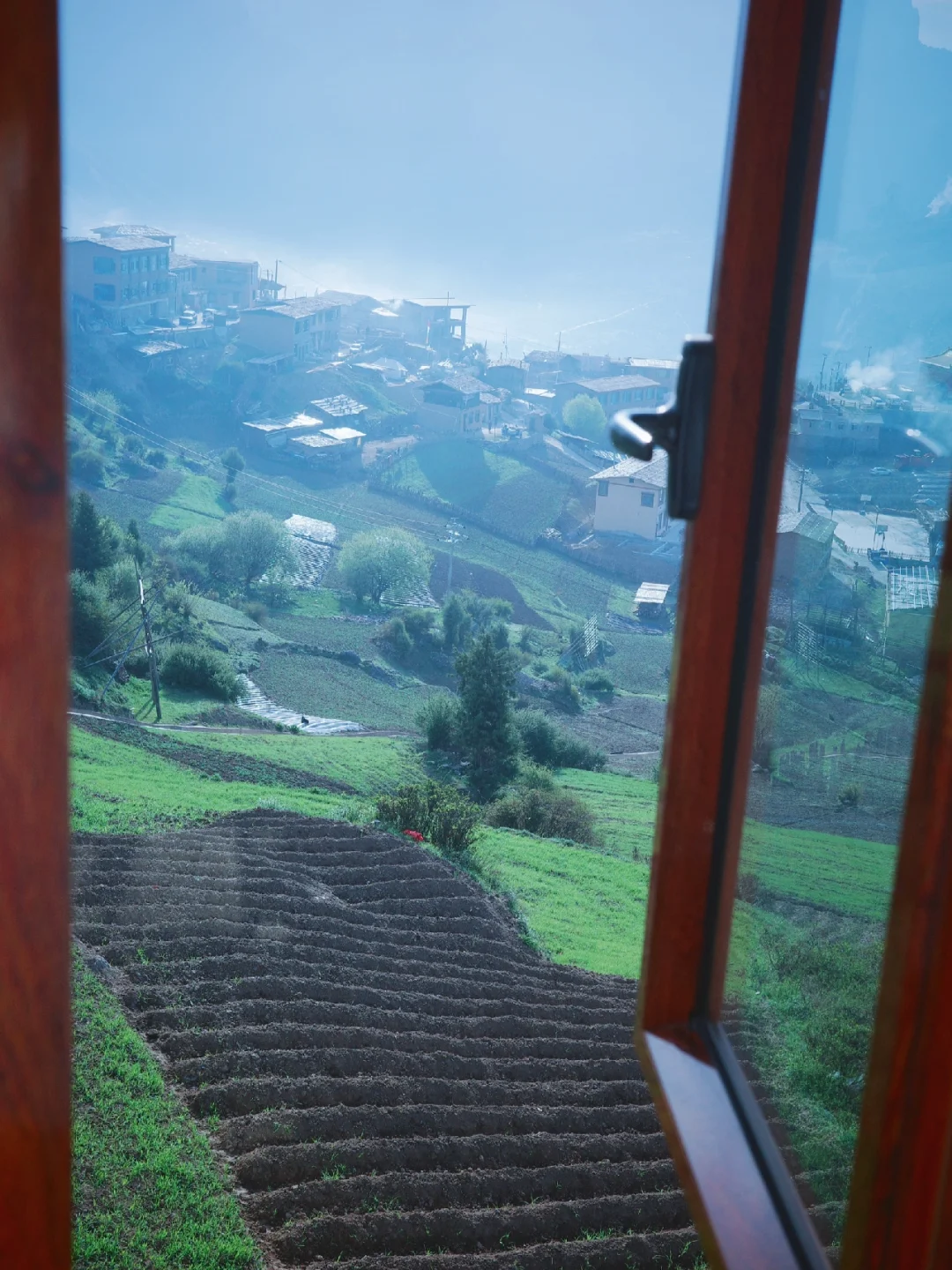 五月中旬的扎尕那美爆了