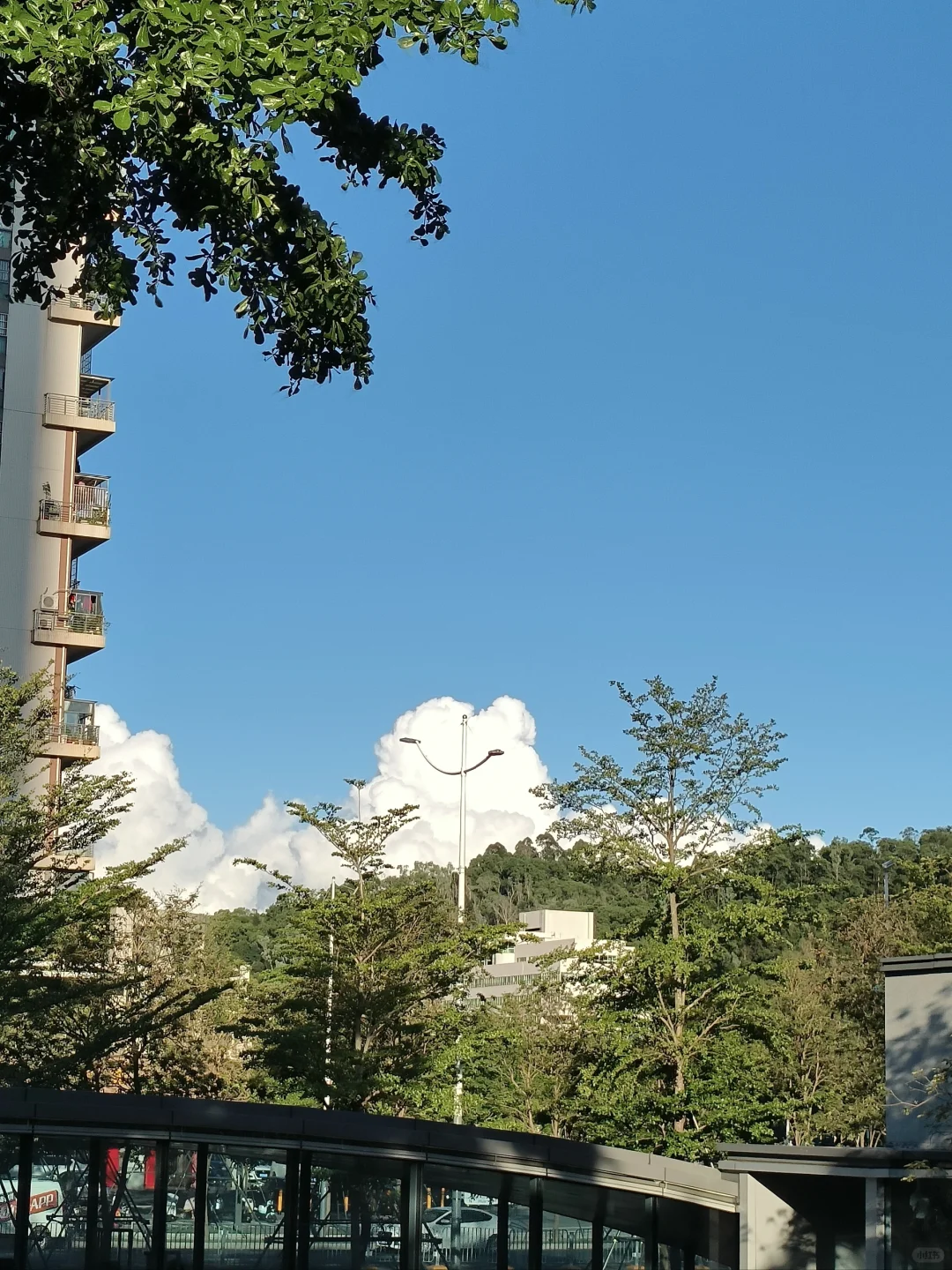 媒介pr/看完一天工作你还想从事这个工作吗