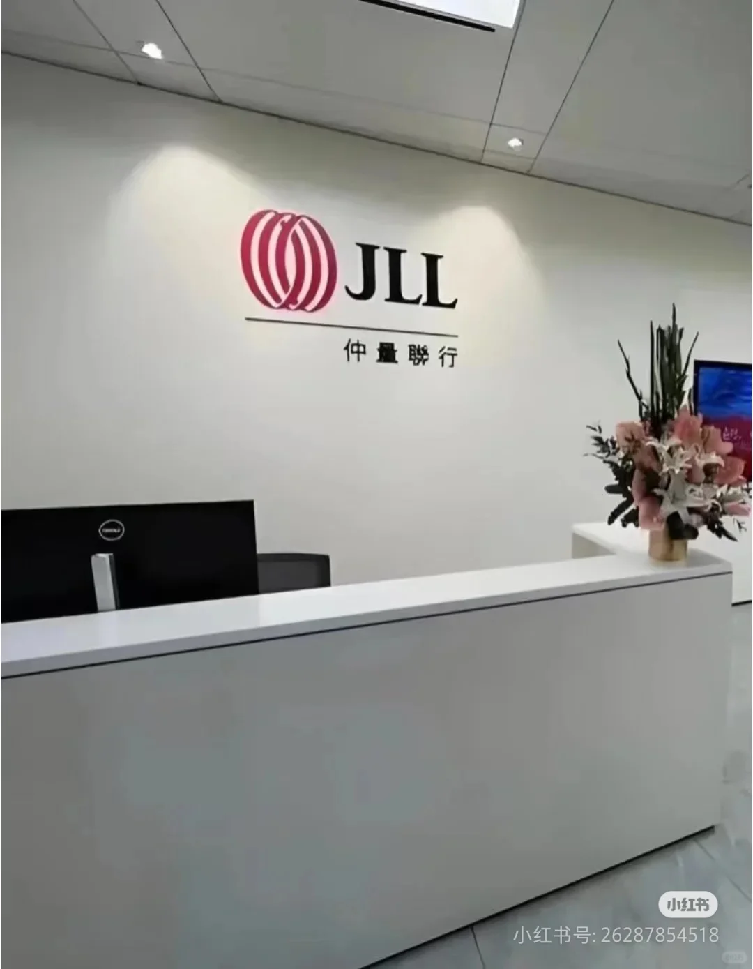 仲量联行 战略咨询 远程 留学生优先岗位: