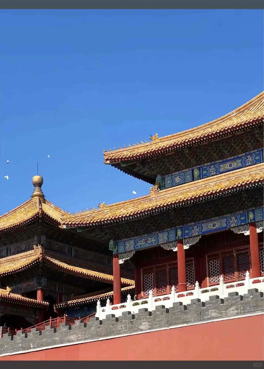 北京真的会惩罚每一个不提前预约的人