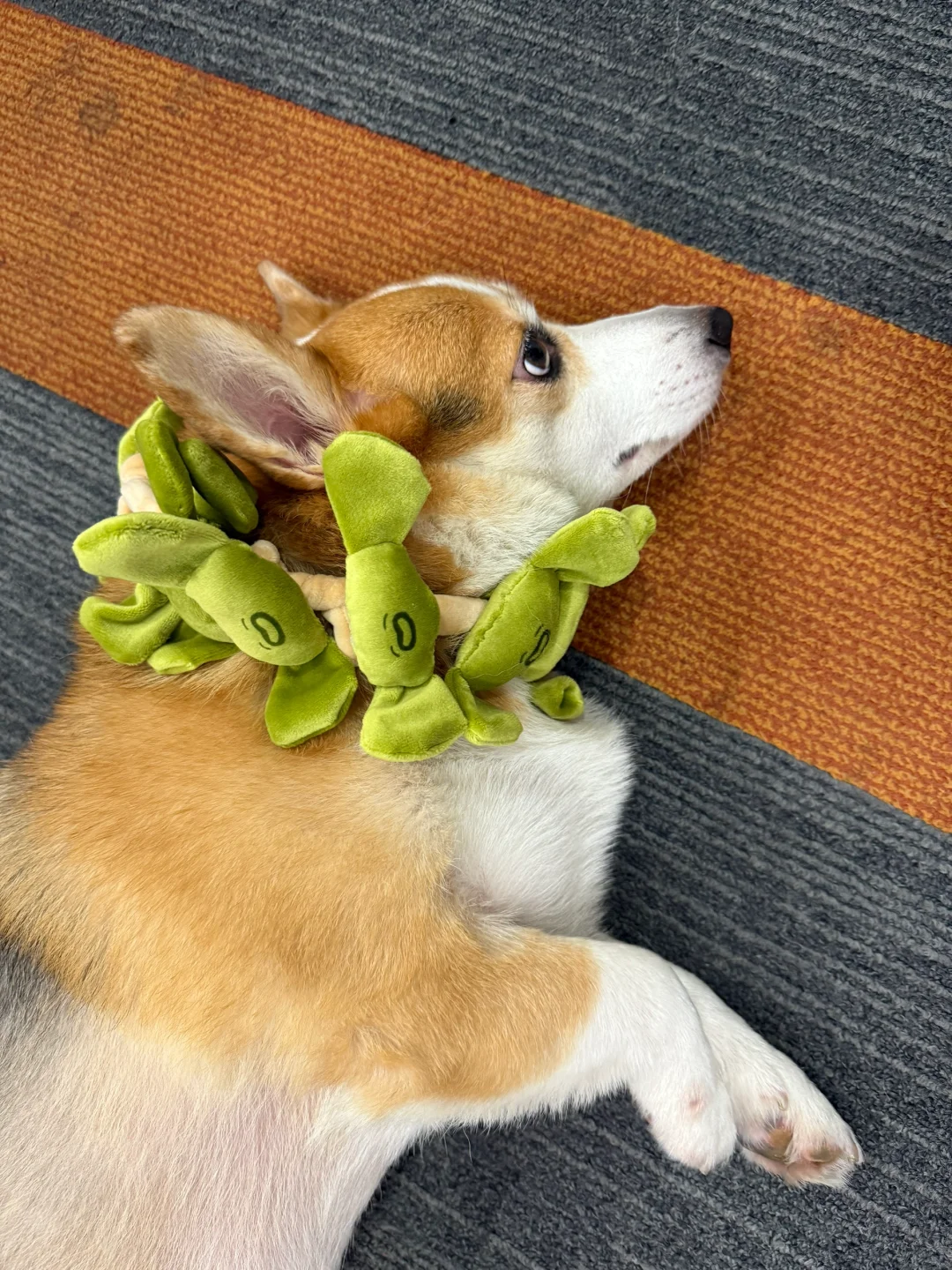 Klook客路｜💡神仙公司等你来