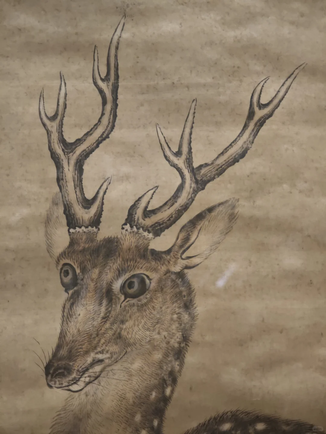 河北省博★京津冀花鸟画展