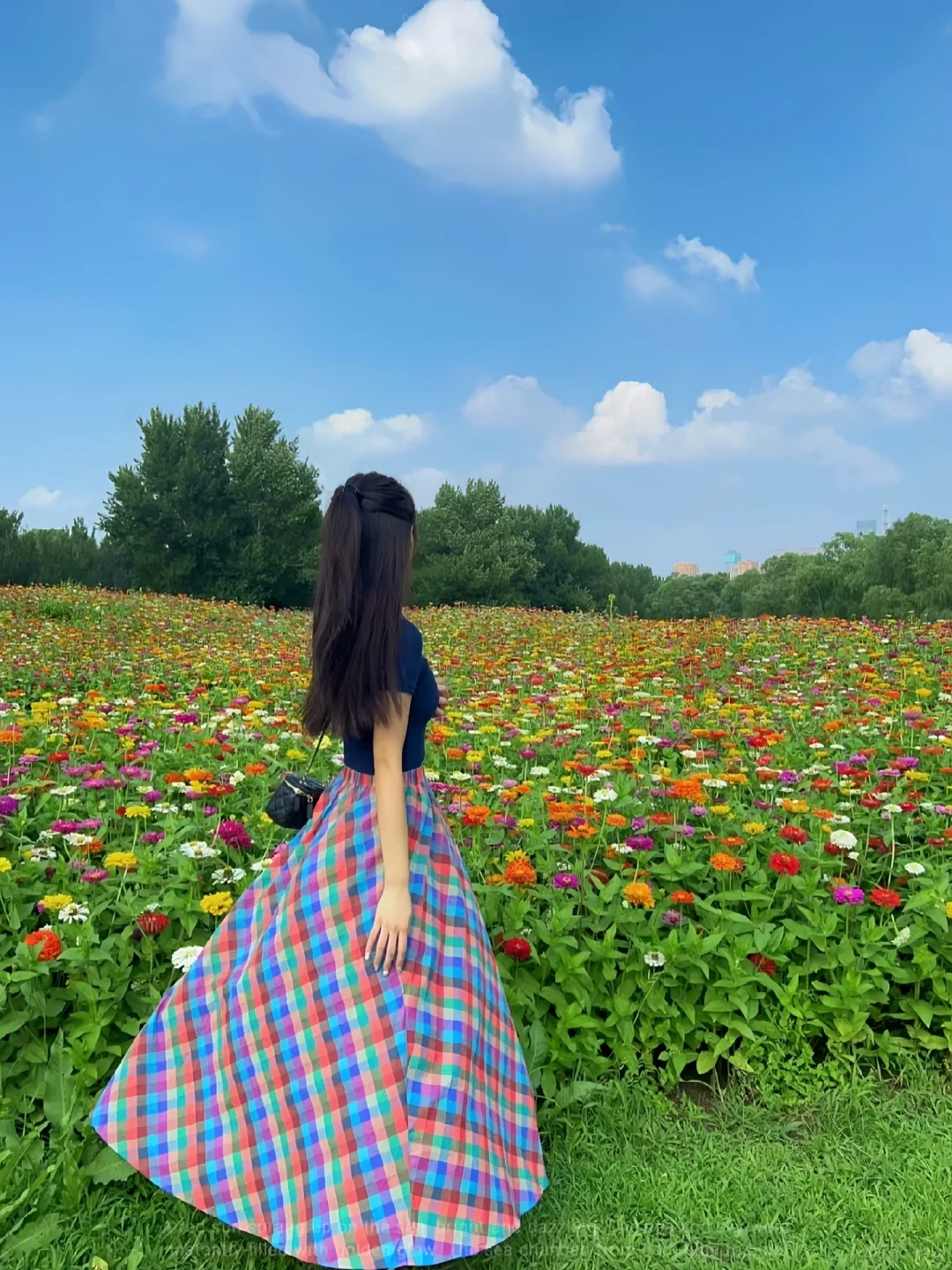 接下来的沈阳将会是这样！🌷（附花期&地址）