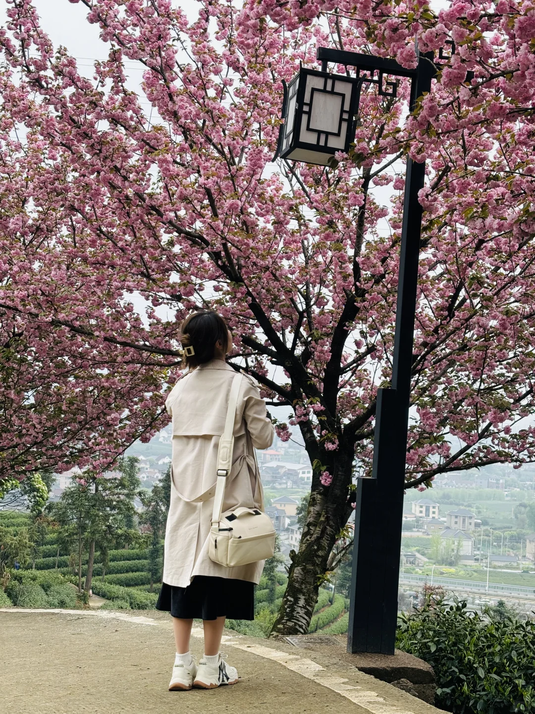 以为龙井村够美了，直到我去了杭州富阳拔山…