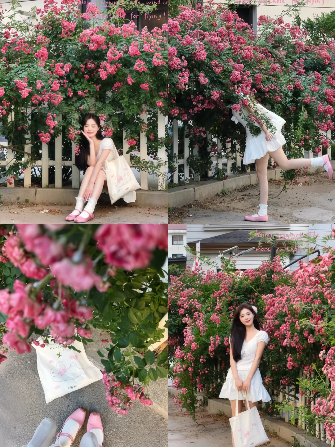 接下来的沈阳将会是这样！🌷（附花期&地址）