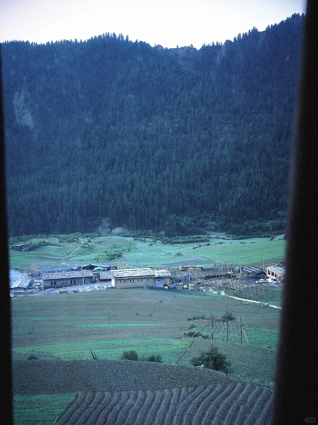 五月中旬的扎尕那美爆了