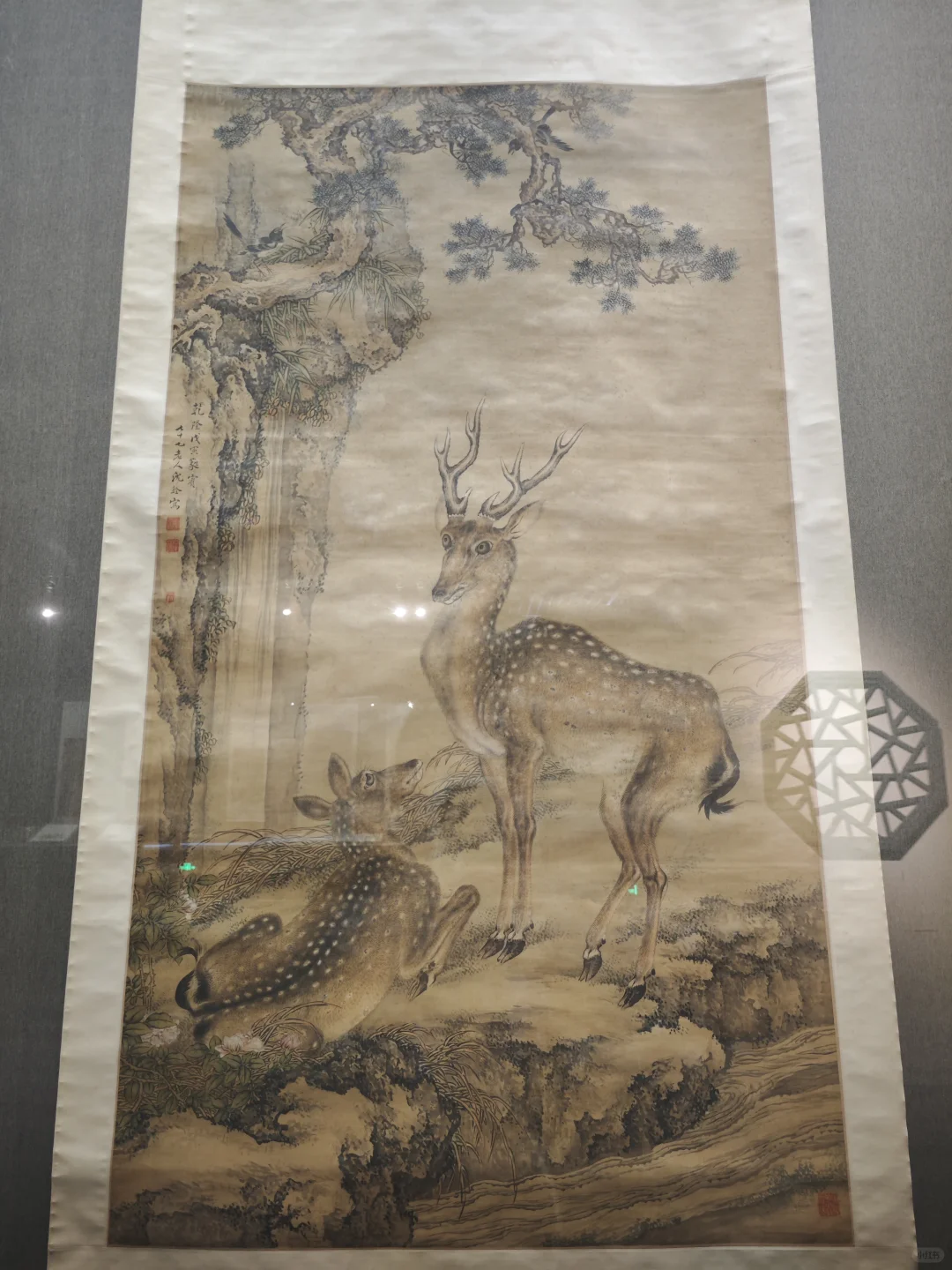 河北省博★京津冀花鸟画展