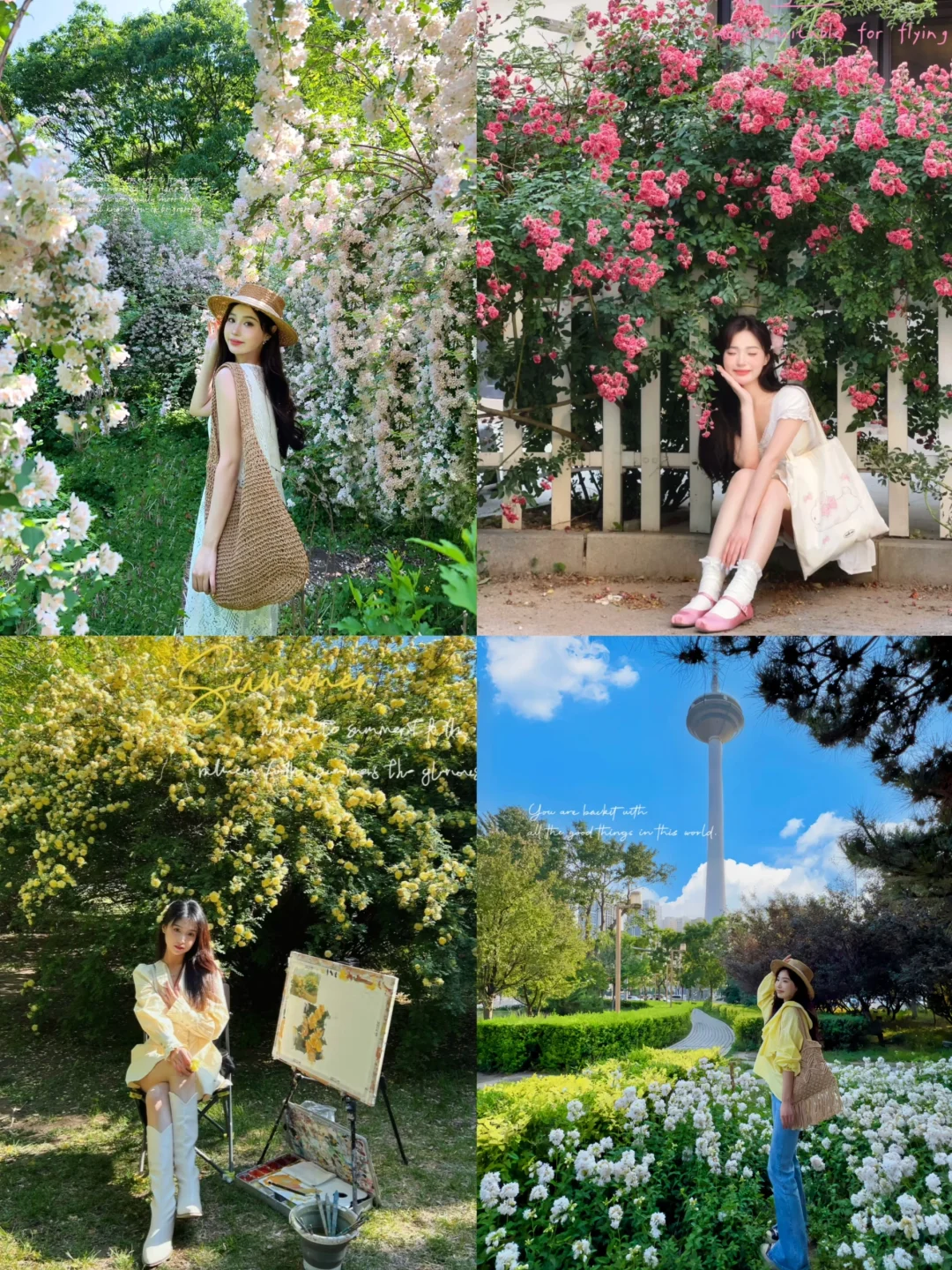 接下来的沈阳将会是这样！🌷（附花期&地址）