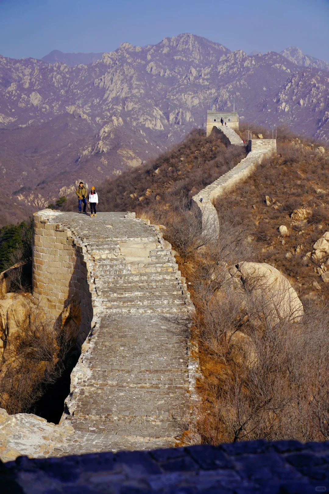 在北京🌸春天一定一定要去看一次花海长城🆓