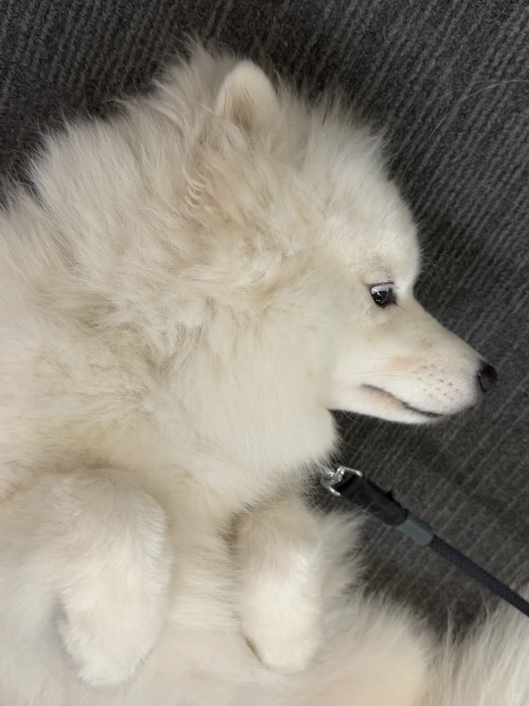 Klook客路｜💡神仙公司等你来