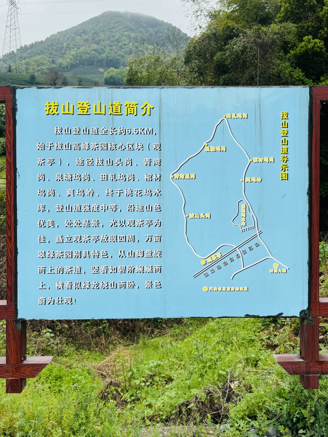 以为龙井村够美了，直到我去了杭州富阳拔山…