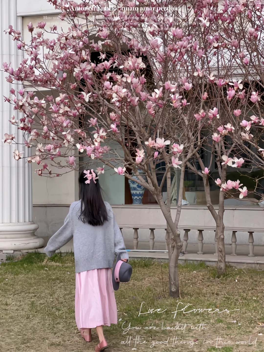 接下来的沈阳将会是这样！🌷（附花期&地址）