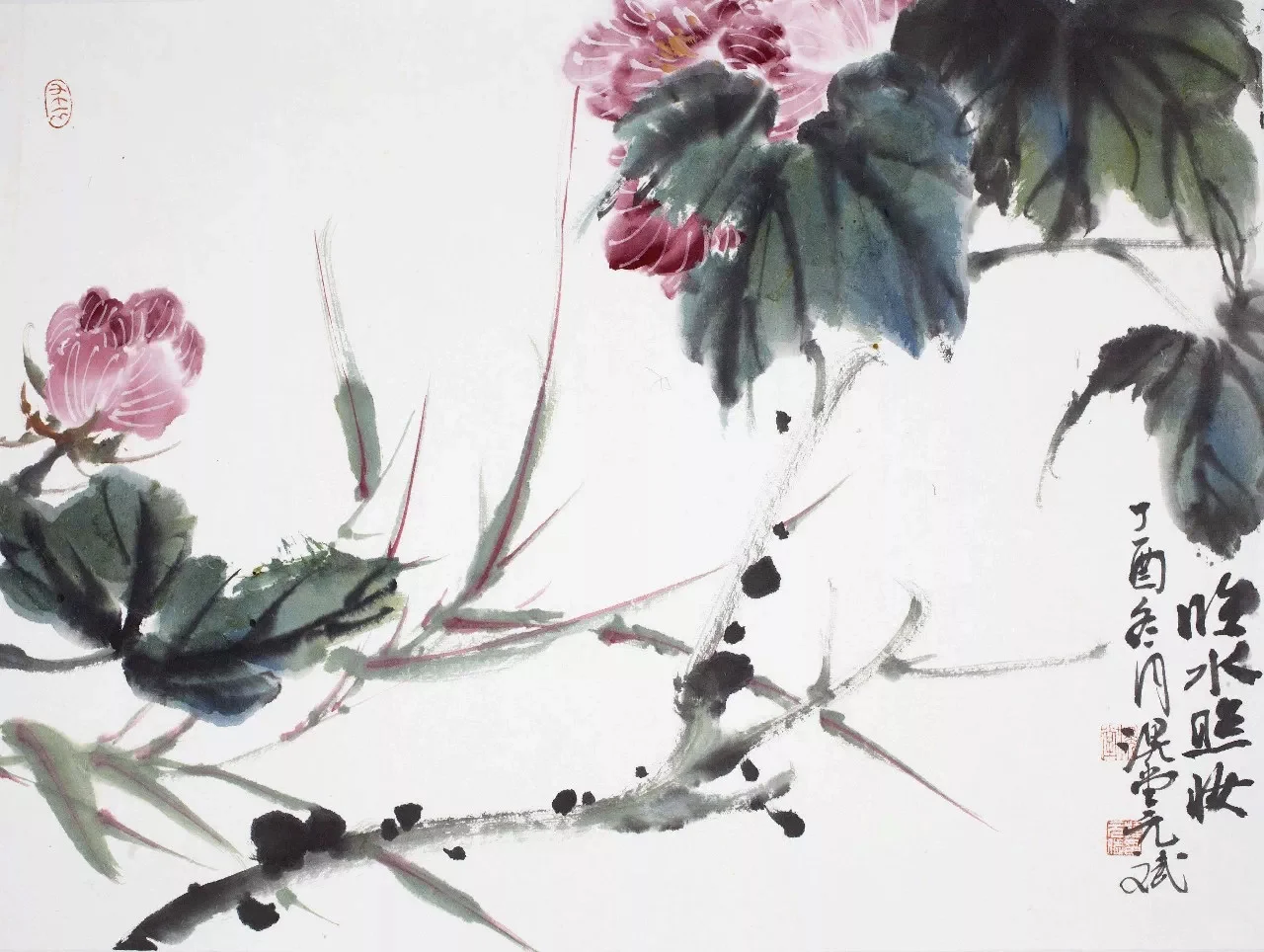 滉堂墨记｜花草溪流