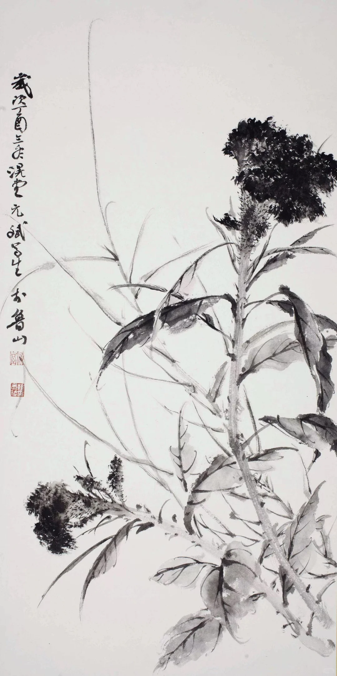 滉堂墨记｜花草溪流