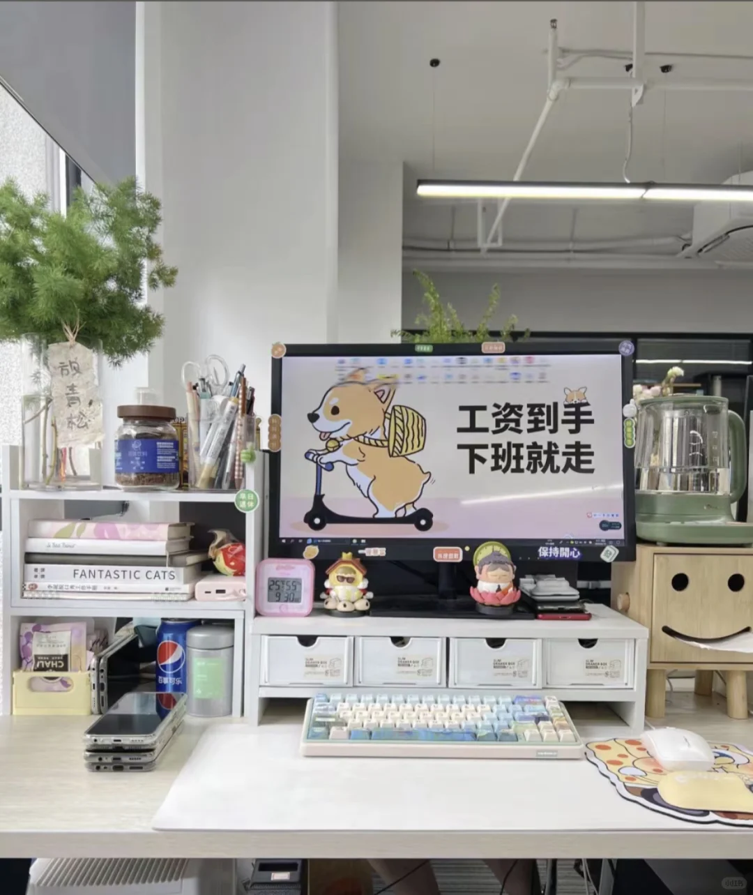 公司直聘等你来哦