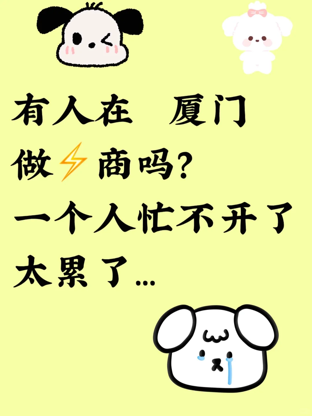 地区厦门，炖炖搭子