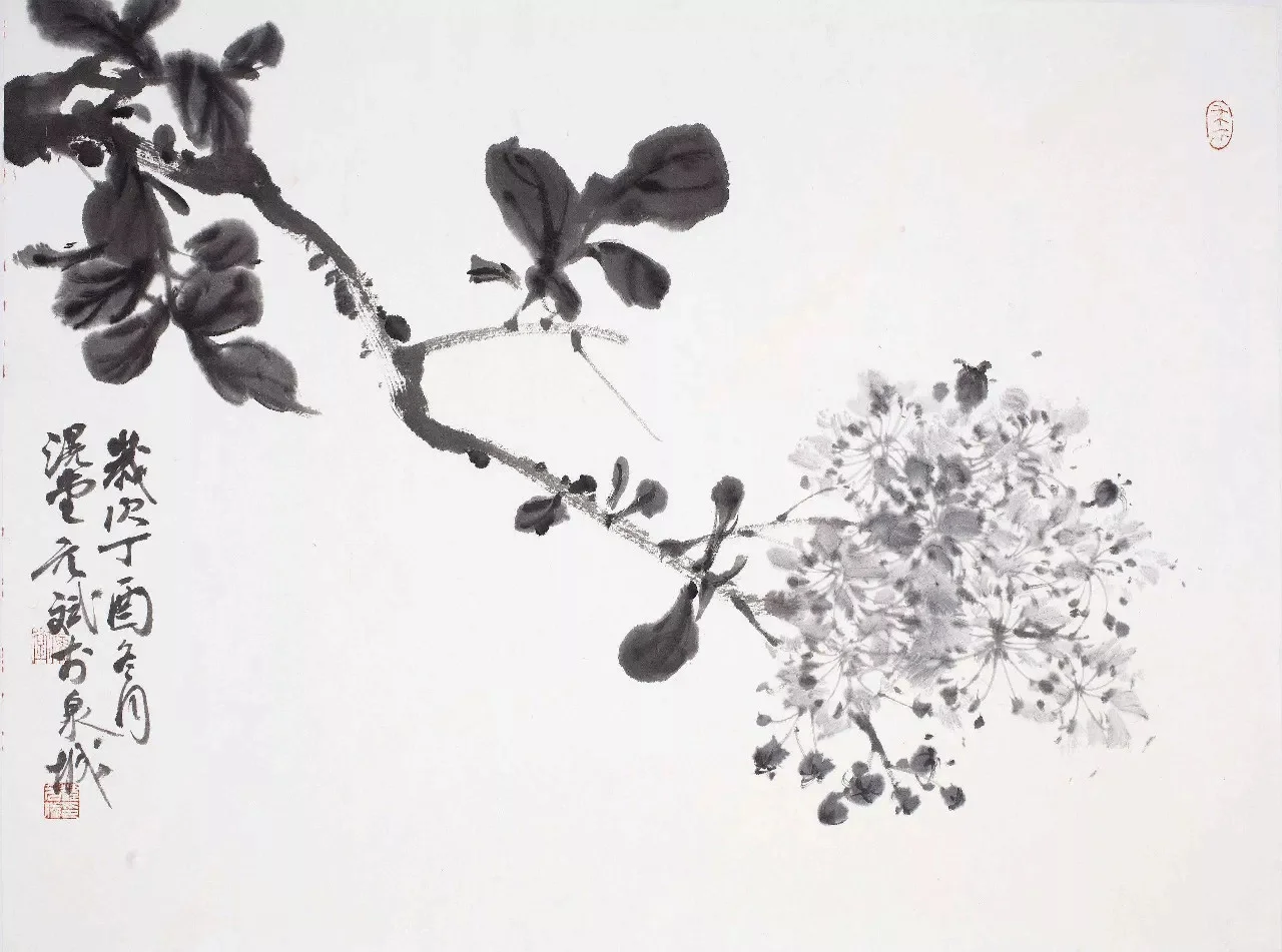 滉堂墨记｜花草溪流