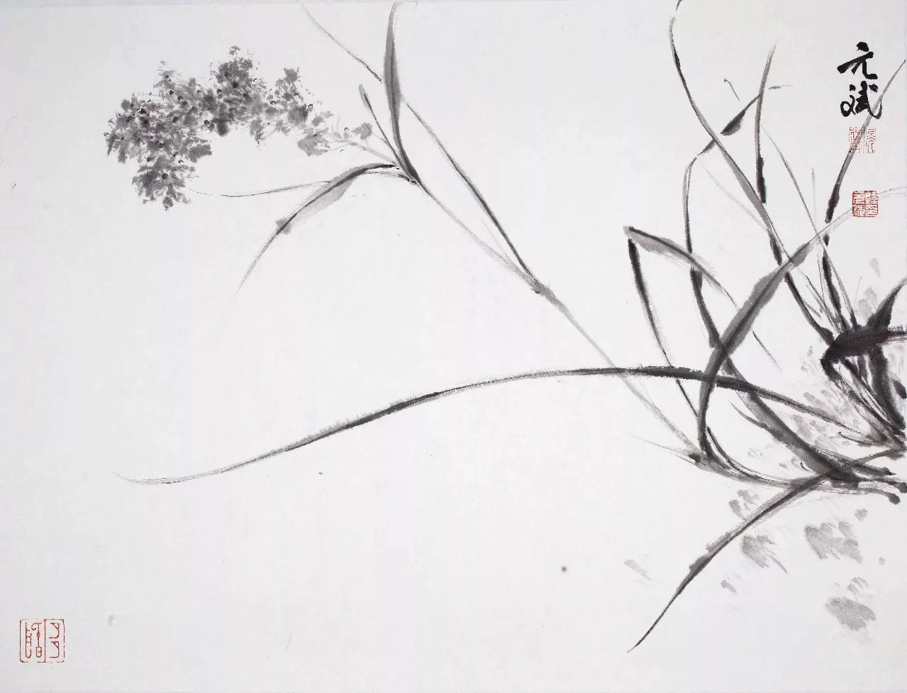 滉堂墨记｜花草溪流