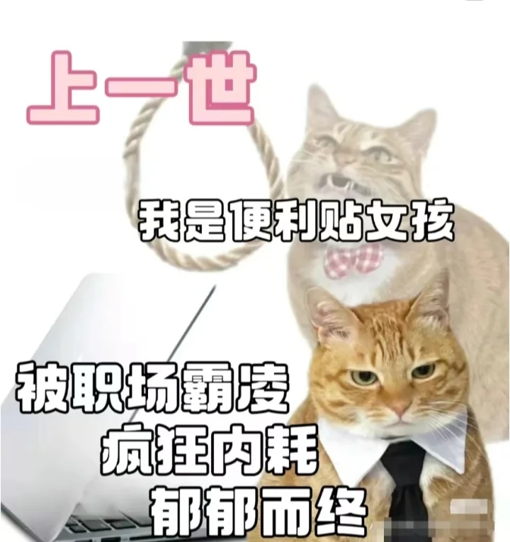 听说小红书招聘比boss管事～我看看(●—●)
