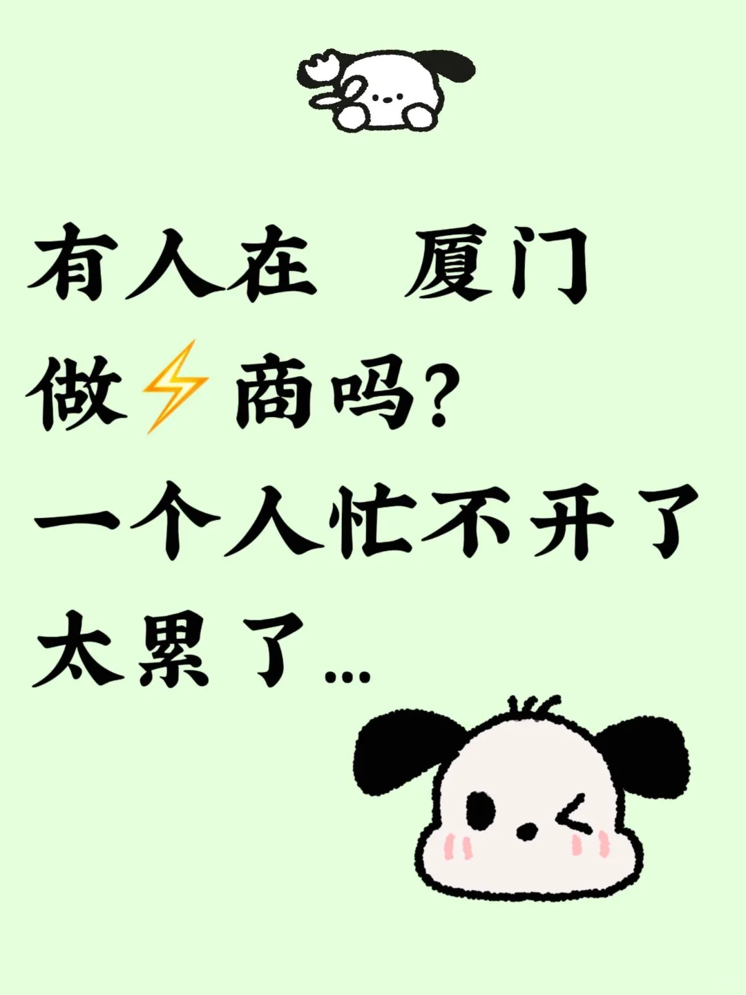 地区厦门，，炖炖各搭子，