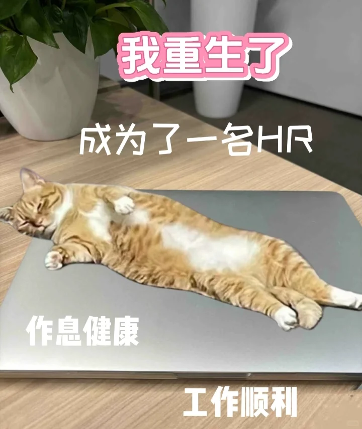 听说小红书招聘比boss管事～我看看(●—●)